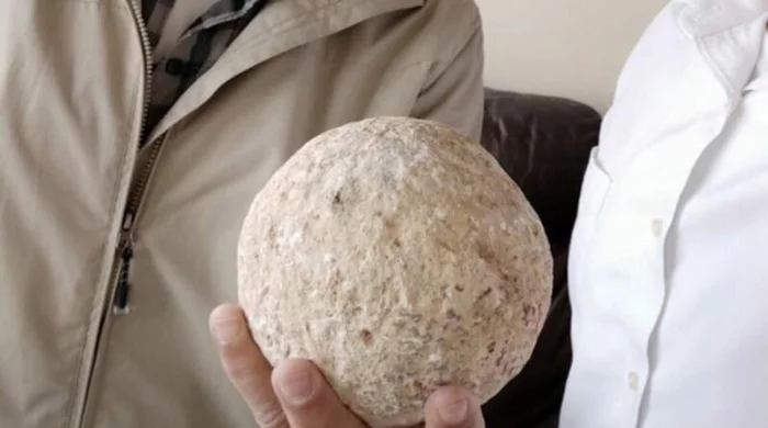 An Israeli returned an ancient stolen artifact after being afraid of an epidemic. - Artifact, Theft, Guilty plea, Panic, Repentance, Coronavirus, Israel, news