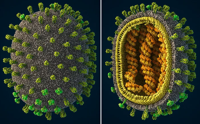 Viruses. Part 1 - Virology, Virus, Biology, Nauchpop, Coronavirus, Longpost