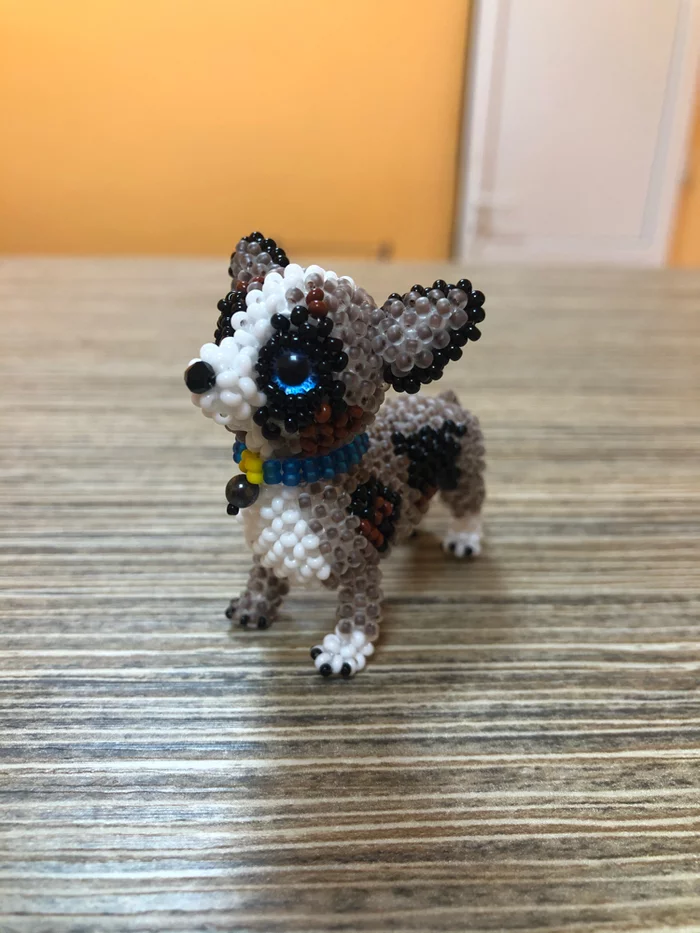 Welsh corgi cardigan blue merle - My, Corgi, Animals, With your own hands, Beads, Needlework, Milota, Dog, Longpost