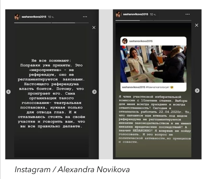 Ох уж эта Александра Новикова! - Журналисты, Конституция, Длиннопост, Политика