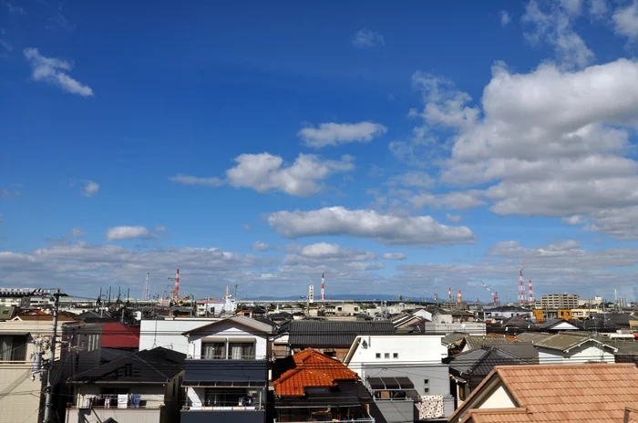 Nishikinohama Station, Kaizuka Station (Osaka, Japan) - My, Japan, Osaka, Suburb, Garden, The street, Longpost