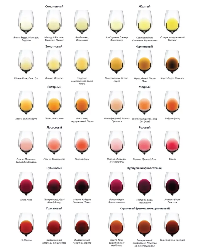 What does the color of wine say? - My, Wine, Alcohol, Infographics, Want to know everything, Longpost
