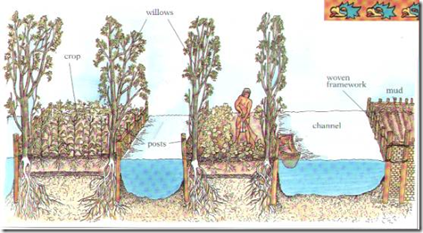 Чинампы  - древняя сельскохозяйственная технология ацтеков - Ацтеки, Сельское хозяйство, История, Видео, Длиннопост