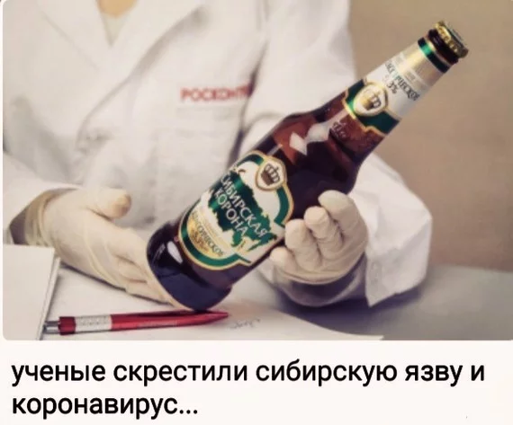 Development of a vaccine or biological weapon?! - Coronavirus, Beer, Humor, Siberian Crown, Anthrax