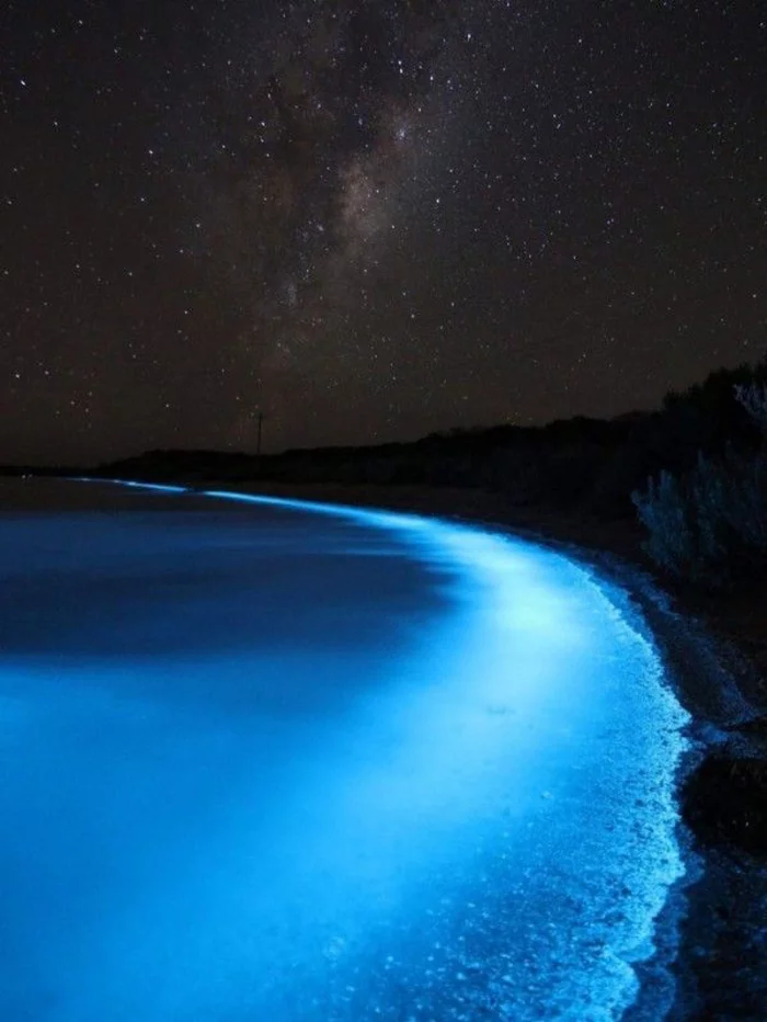 Bioluminescence! For the first time in my life I saw this spectacle from a Cruise ship - Bioluminescence, Miracle