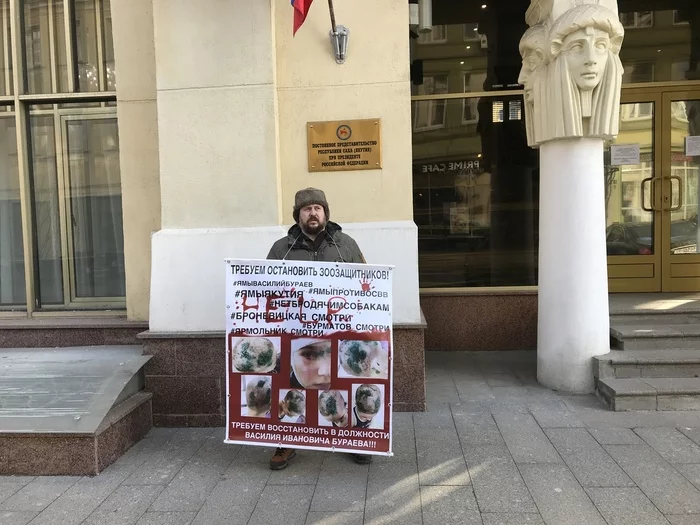 Пикет против зоозащитных фанатиков прошел в Москве Бродячие собаки, Пикет, Ветеринар, Ветеринария, Длиннопост, Радикальная зоозащита, Зоозащитники
