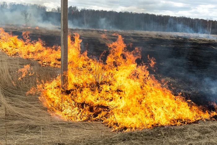 In Russia there is a fire-fighting campaign “Stop the fire!” - Avialesokhrana, Fallen Grass, Longpost