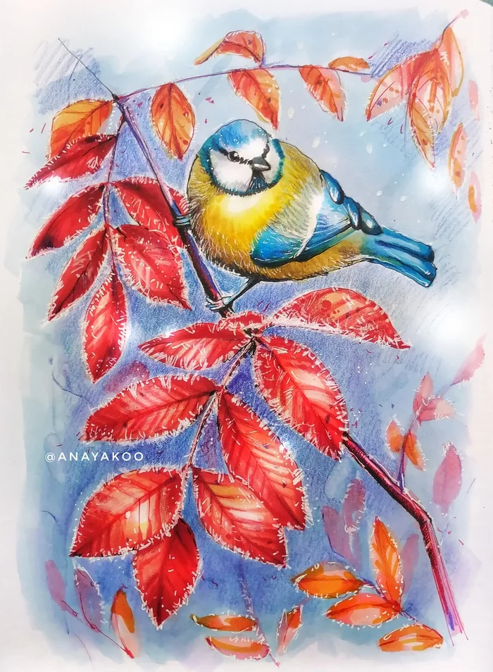 Tit - My, Birds, Tit, Animals, Sketch, Sketchbook, Alcohol markers, Liner