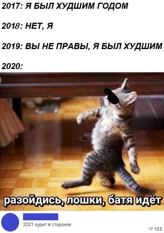 2020 year - Picture with text, 2020, cat