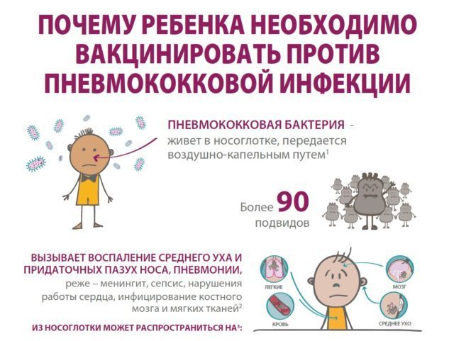 Зачем вакцинироваться от пневмококков? - Вакцинация, Вакцина, Профилактика, Здоровье, Длиннопост