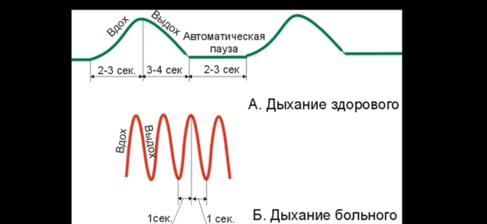 Как не заразится *макароновирусом или как поддерживать баланс организма - Моё, Коронавирус, Вирус, Здоровье, Простуда, Баланс, Медитация, Дыхание, Полезное, Видео, Длиннопост