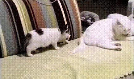 А я что,я ничего...