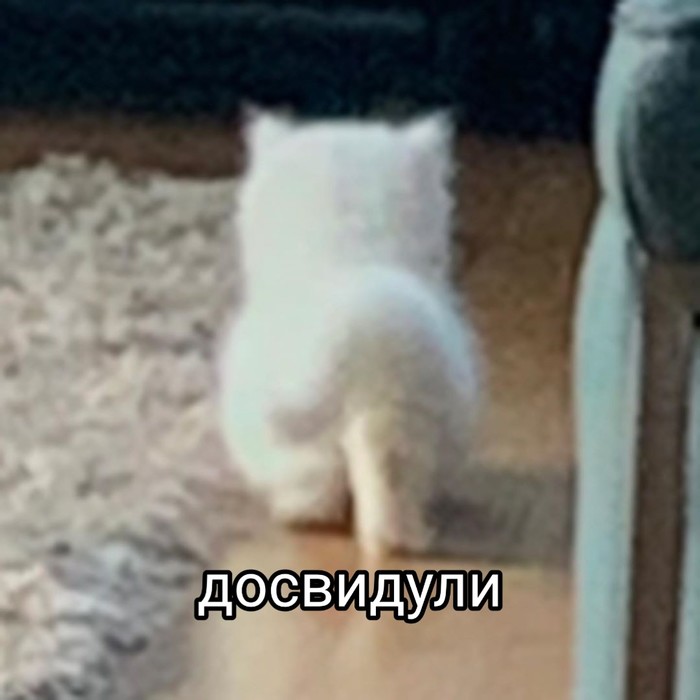    , , ,  , ,   