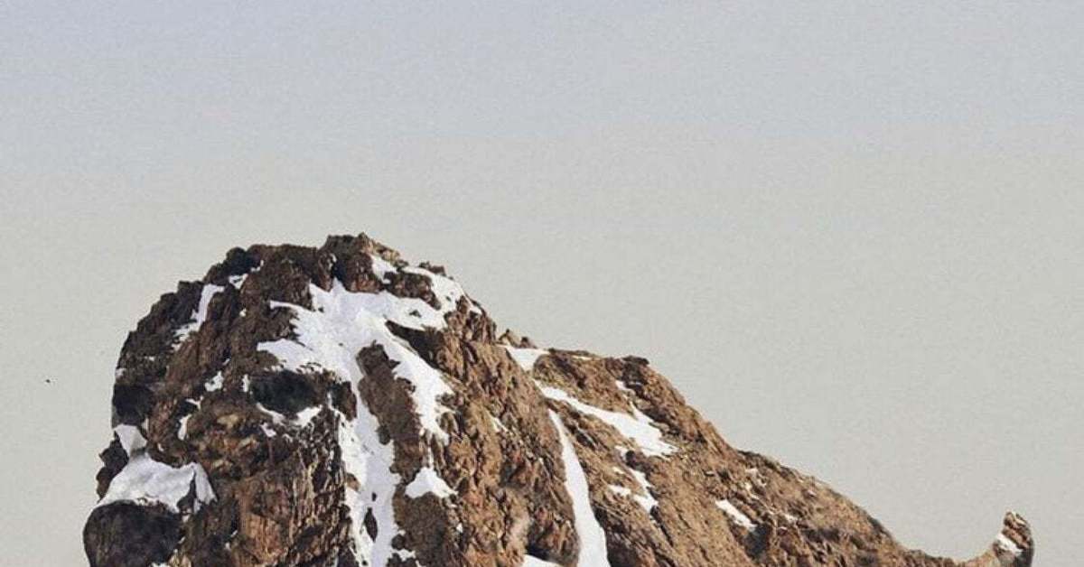Гора похожая на медведя фото