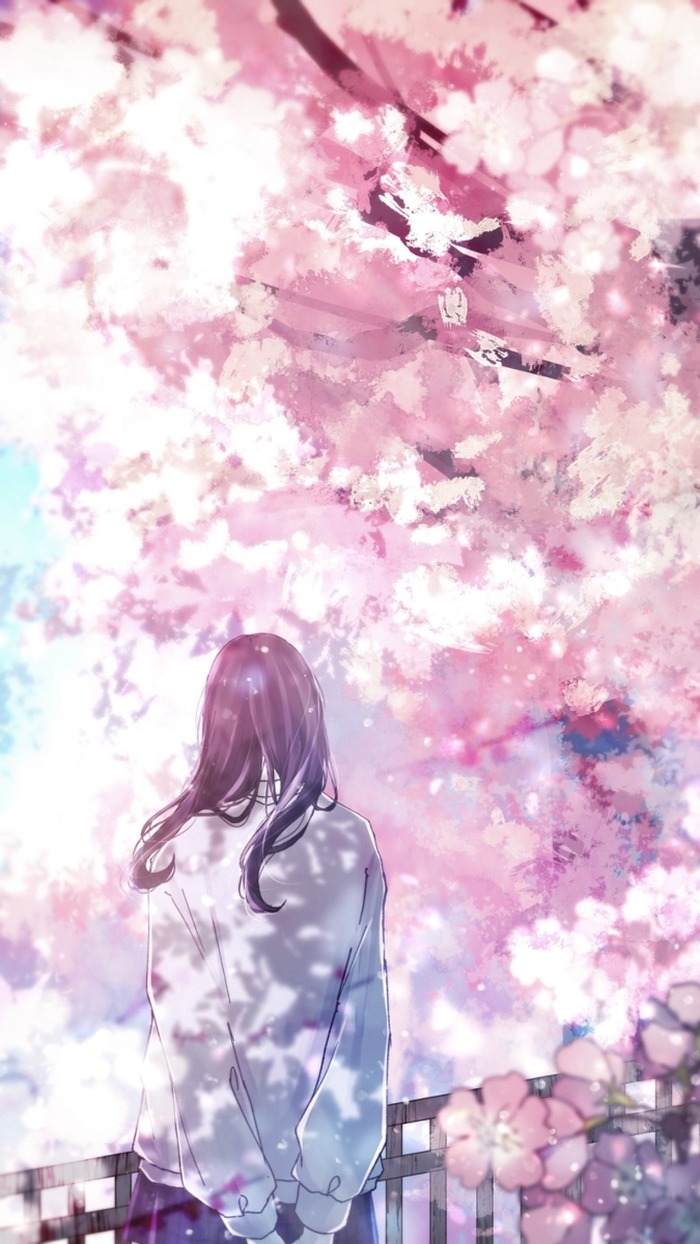 Sakura , Anime Art, , , , Pixiv