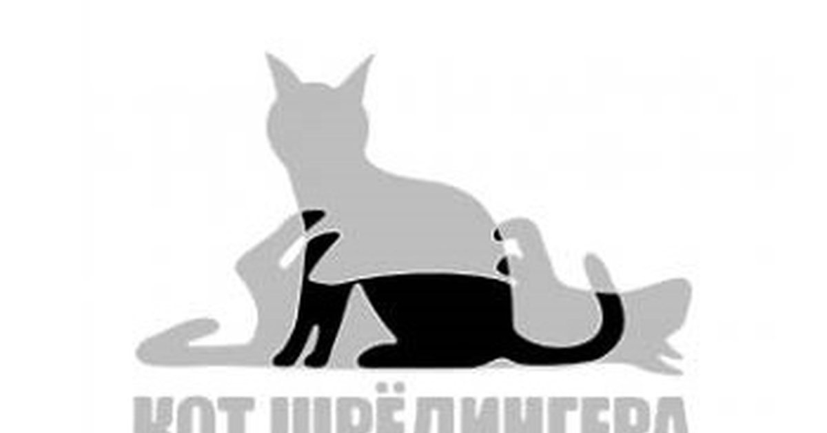 Код шредингера. Кот Шрёдингера. Кот Шредингера картинки. Теория кота Шредингера. Парадокс кота Шредингера.