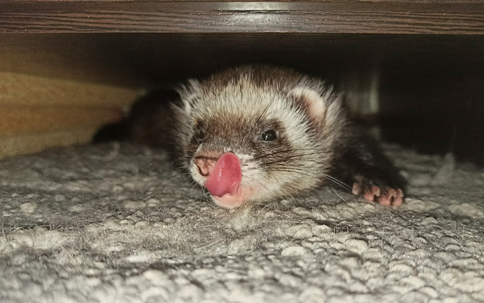 Ты следующий