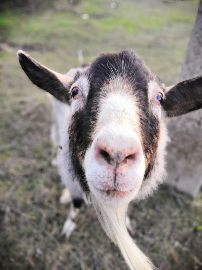 Просто фото | Пикабу