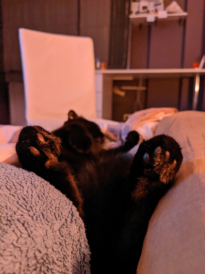 ��� ����