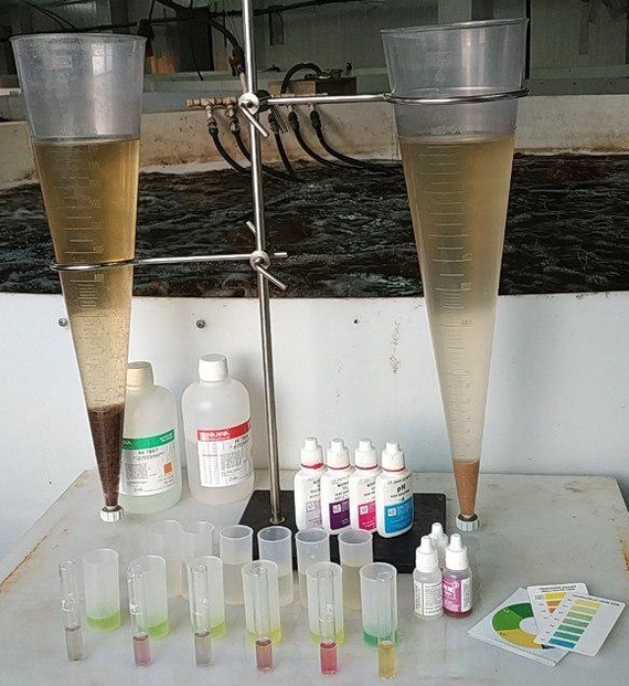 Испытания воды очищенной. Очистка воды седиментация. Седиментация в лаборатории. Колба седиментации. Набор для проверки воды из колодца.