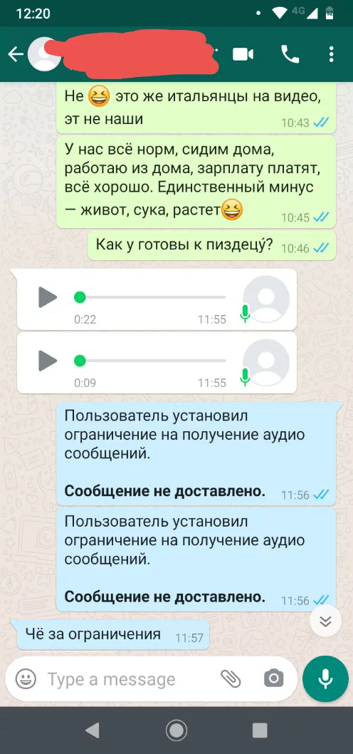 Fighting voice messages on WhatsApp - My, Whatsapp, Voice messages, Correspondence, Screenshot, Mat