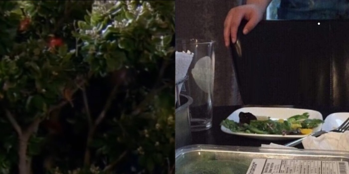 ��������