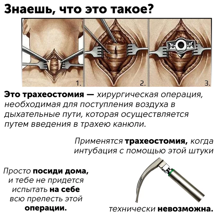 Think about it, is it worth the risk?) - Coronavirus, Mechanical ventilation, Epidemic, Tracheostomy, Humor, Black humor