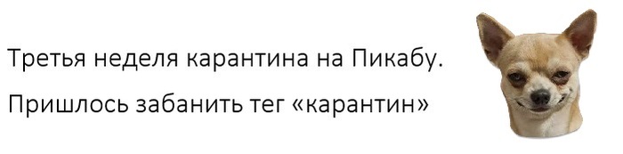 Еще одна мера защиты - Собака, Карантин, Пикабу, Коронавирус, Игнор-Лист