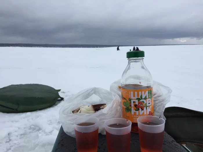 The bream comes out to the pre-spawning area - video fishing from ice - predators are being caught everywhere and we found bream - My, Fishing, Bream, Hobby, Winter fishing, Relaxation, Video, Longpost