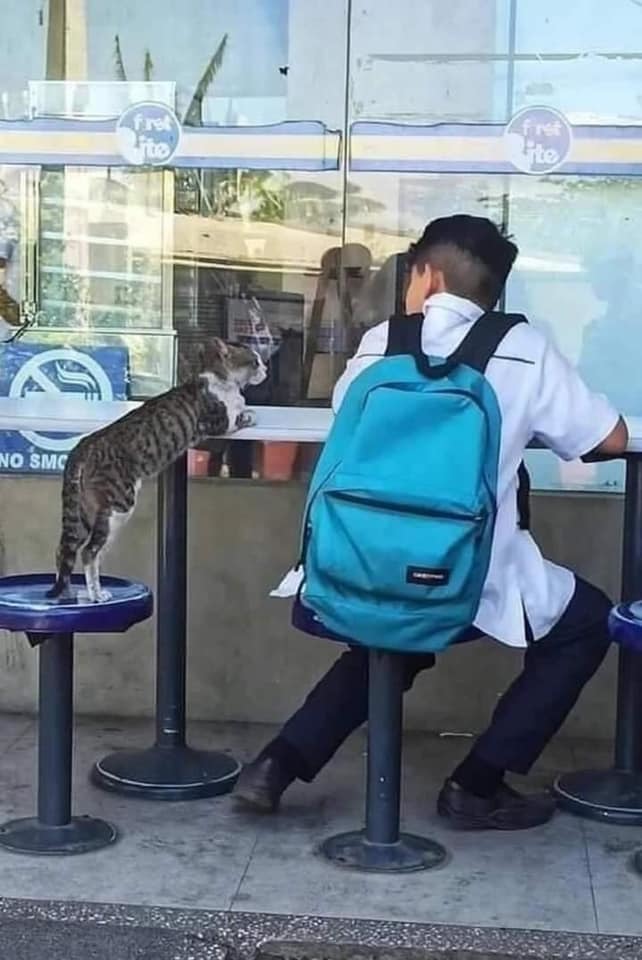 ����� ������ ��������