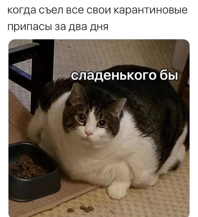 ��� �������