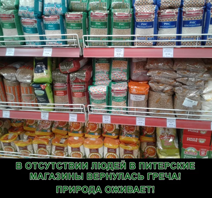 Buckwheat is back - Buckwheat, Coronavirus, 2020, Saint Petersburg, Russia, Picture with text