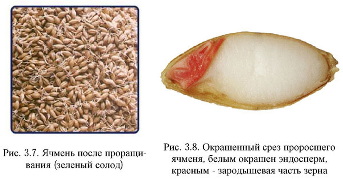 Чем промывать ячмень