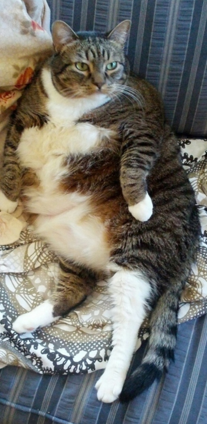 ������ �� ���������