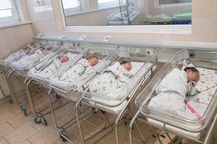 �����, ���������!