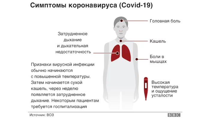 Everything about coronavirus - in small portions - Coronavirus, Epidemic, BBC, Facts, Article, Self-isolation, news, Video, Longpost