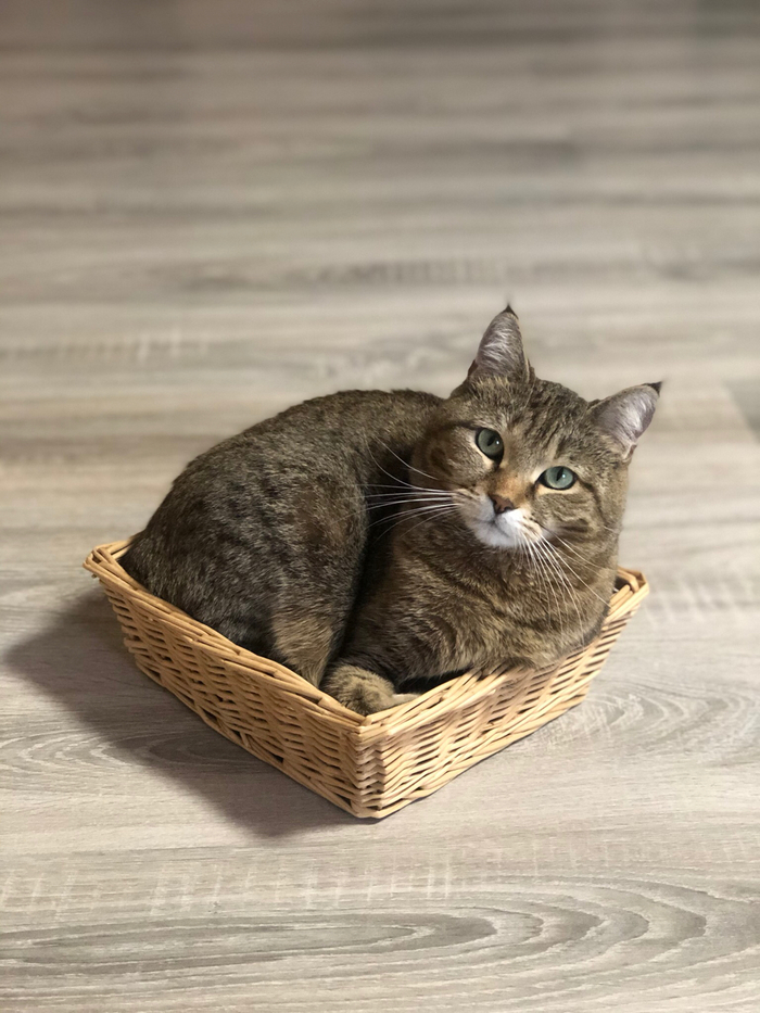 ������������!