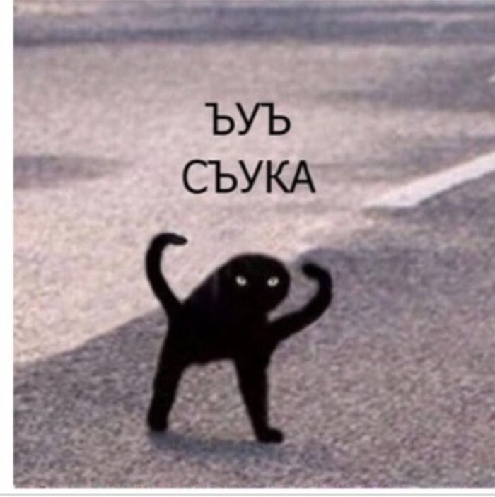 ���� ����� ����