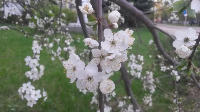 Самое время расти - Моё, Без рейтинга, Детство, Юмор, Длиннопост
