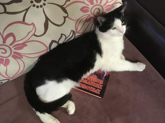 ��� ����� �� ������