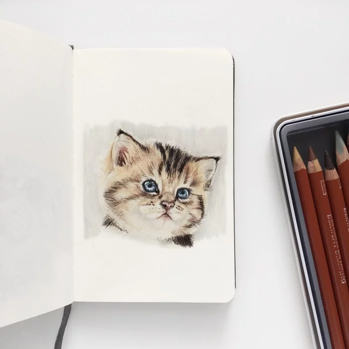 Kitten with colored pencils based on photo from comments - My, cat, Kittens, Colour pencils, Portrait, Art, Video