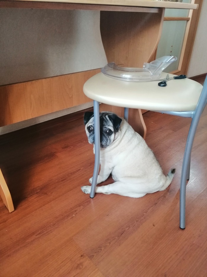 � �� ����� �����