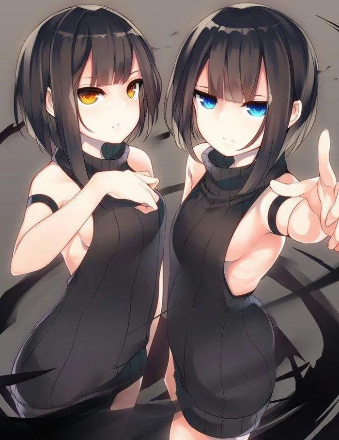 Twins - Twins, Anime