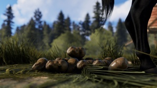 The creators of Rust have redesigned the farming system - Rust, Game world news, Video