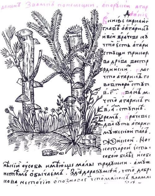 Древнеславянский язык