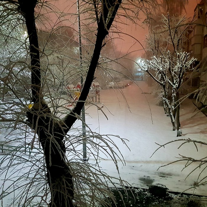 Весенние красоты