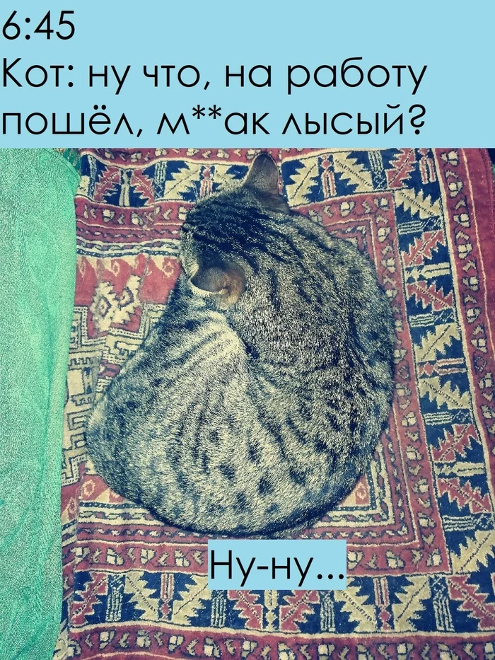 Месяц назад - Моё, Кот, Сон, Мемы, Ретро, Карантин, Самоизоляция, Работа, Юмор