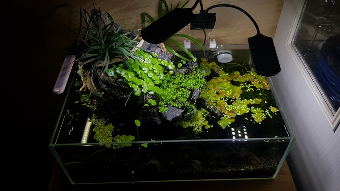  20  , , 