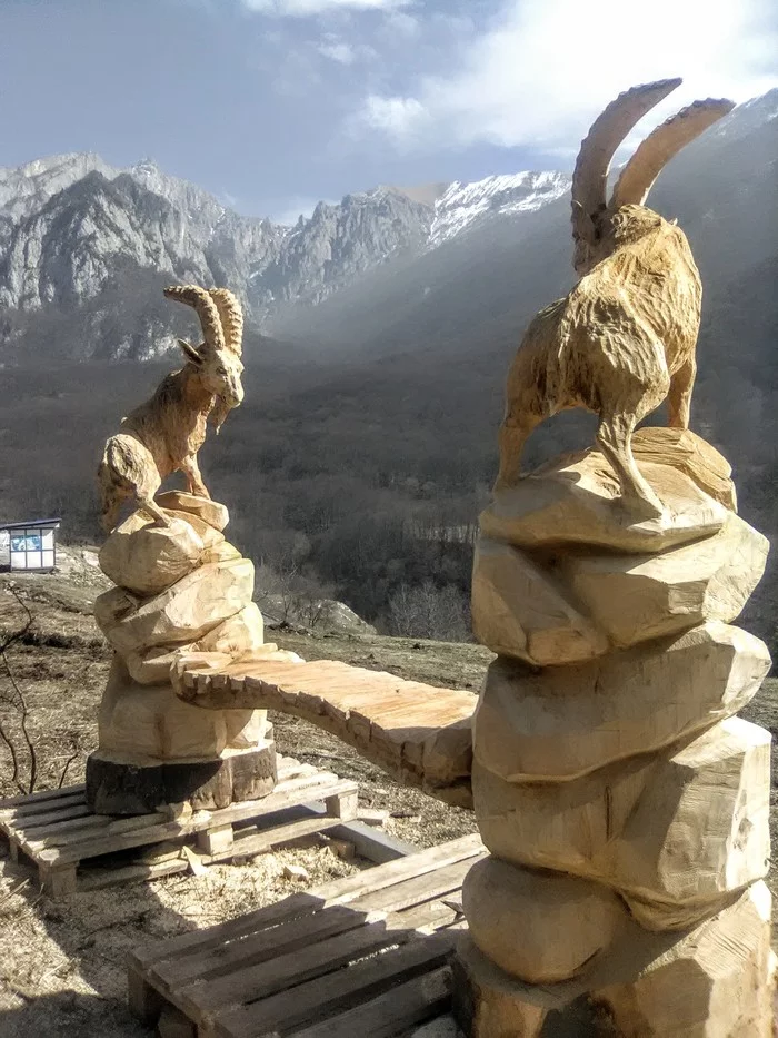 Carving with a chainsaw. On the way to Eldorado you will definitely meet some kind of co.....l (coronavirus)! - My, Wood carving, Wood sculpture, The mountains, Chainsaw sculpture, Woodworking, Video, Longpost