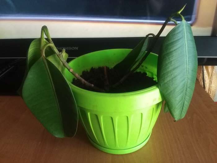 �������� ������ �����